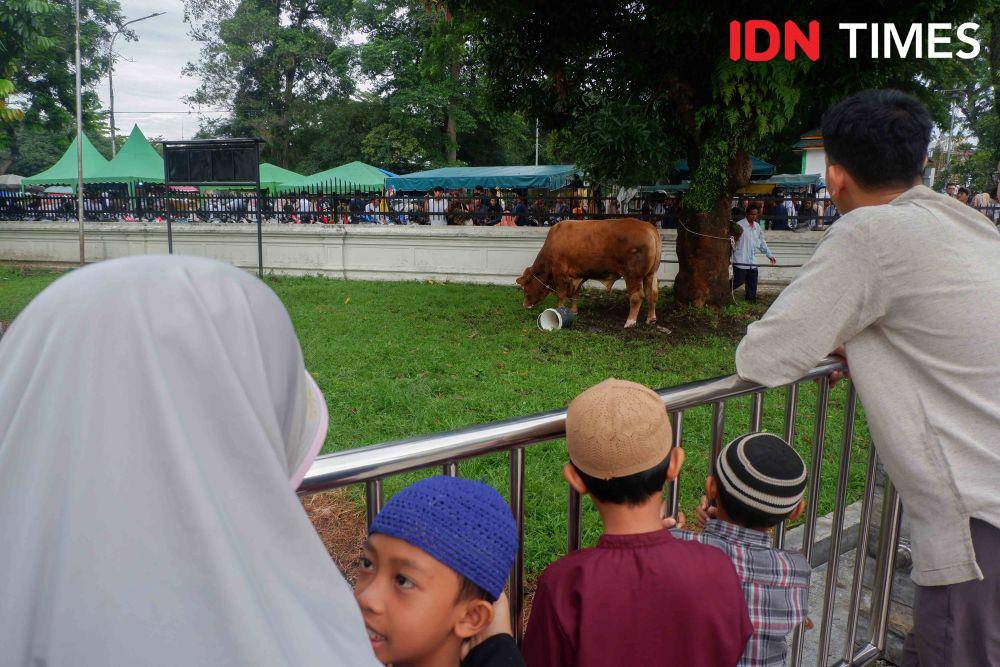 Warga menyaksikan sapi yang akan dikurban usai pelaksanaan Salat Ied di Masjid Raya Al Mashun, Kota Medan, Senin (17/6/2024). (IDN Times/Prayugo Utomo)