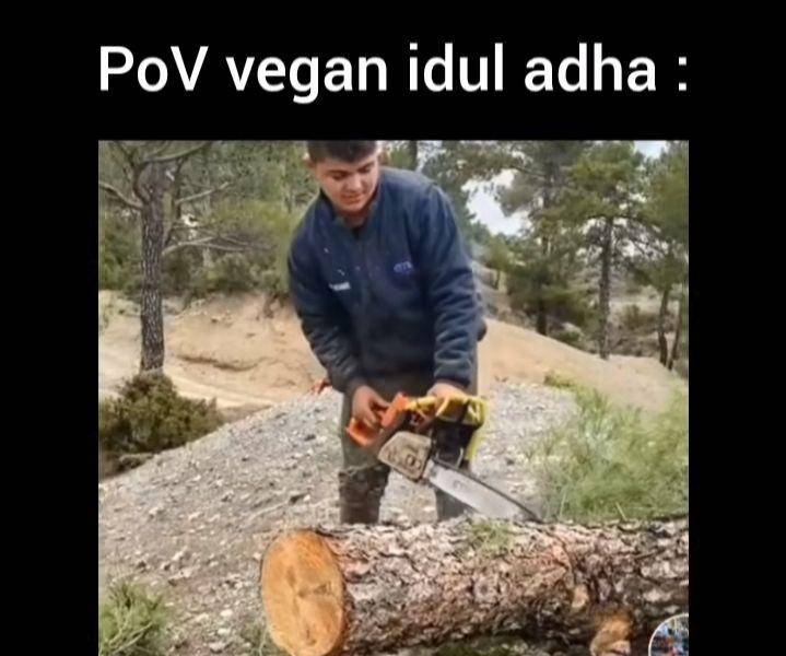 meme vegan (instagram.com/mimlort)