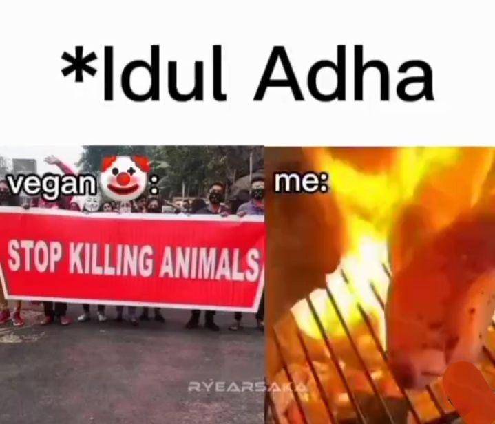 meme vegan (instagram.com/asanmeme.id)