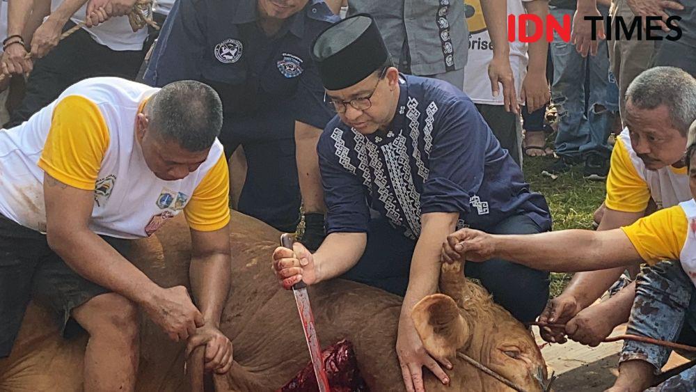 Anies Sembelih Kurbannya Sendiri: Saya Bayangkan Jadi Nabi Ibrahim