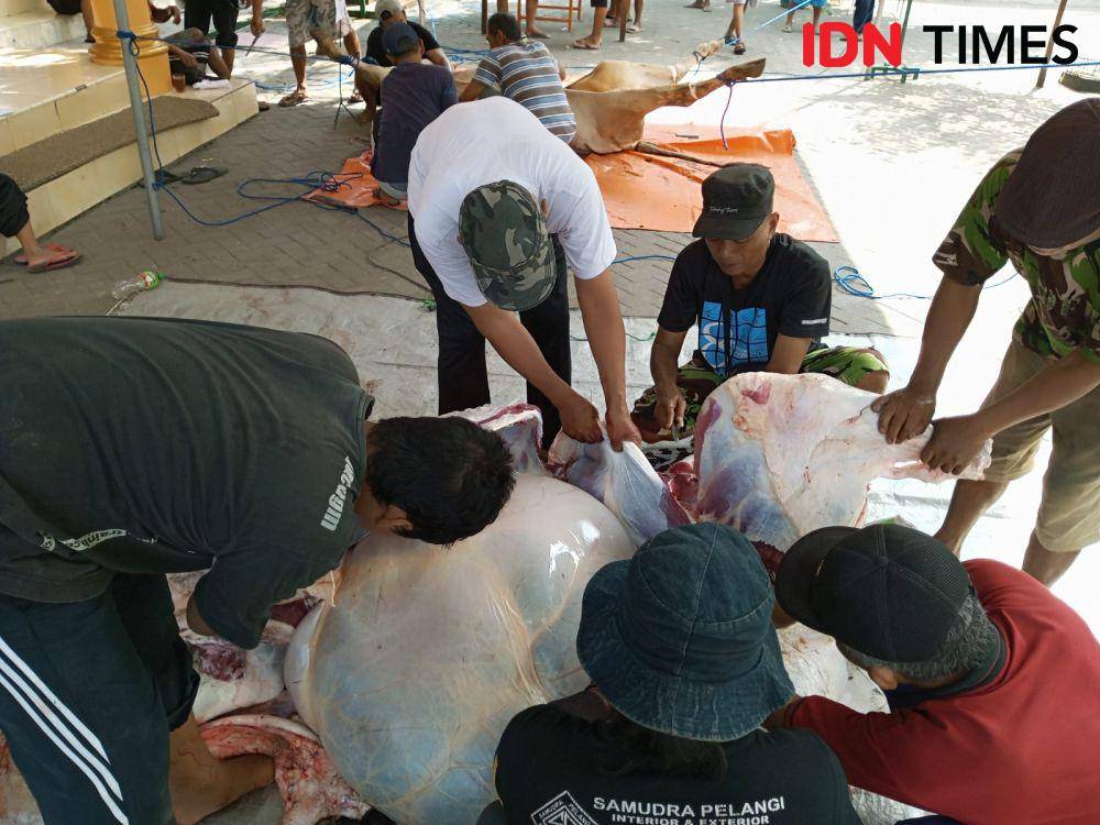 Penyembelihan hewan kurban di Masjid Al Amna Jogodayuh Sumbermulyo Bambanglipuro Bantul. (IDN Times/Daruwaskita)