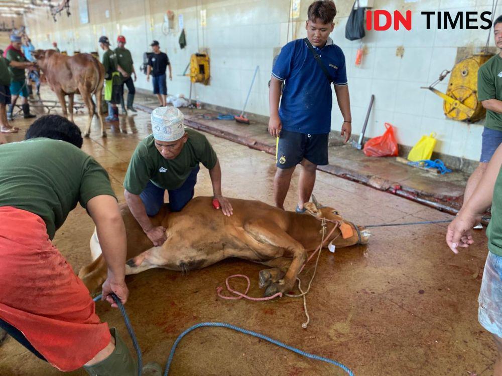 Suasana penyembelihan hewan kurban di Rumah Potong Hewan (RPH) Surabaya, Senin (17/6/2024). (IDN Times/Khusnul Hasana)