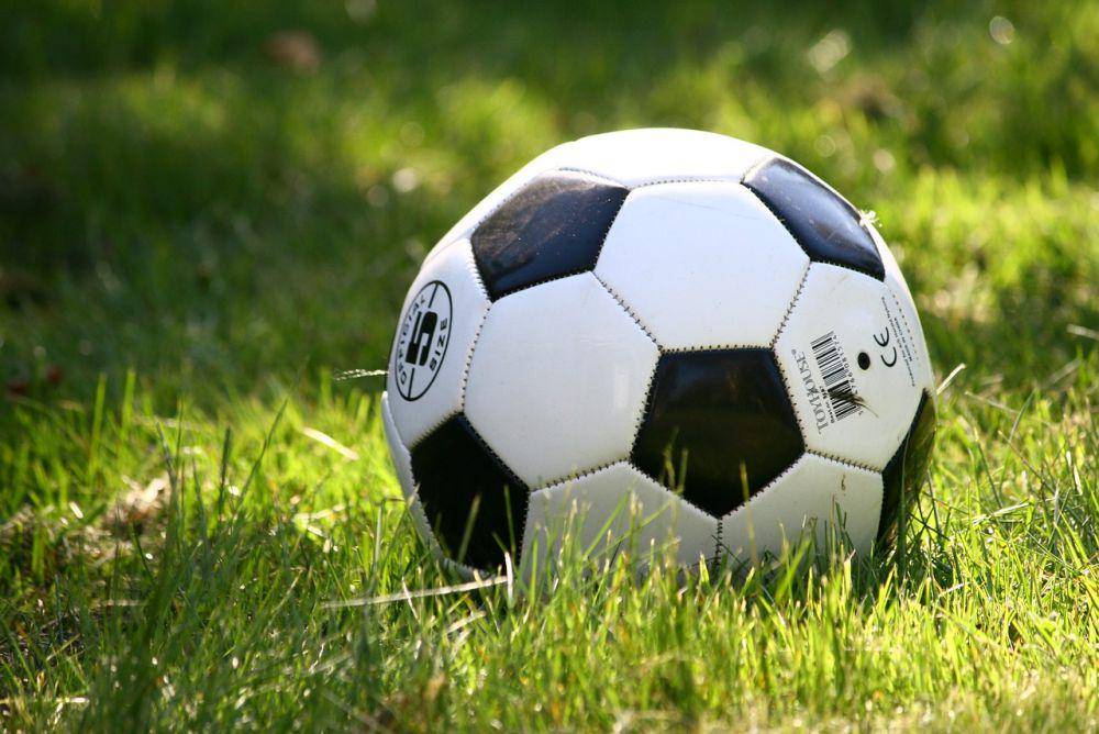 ilustrasi bola (pixabay.com/Annros)