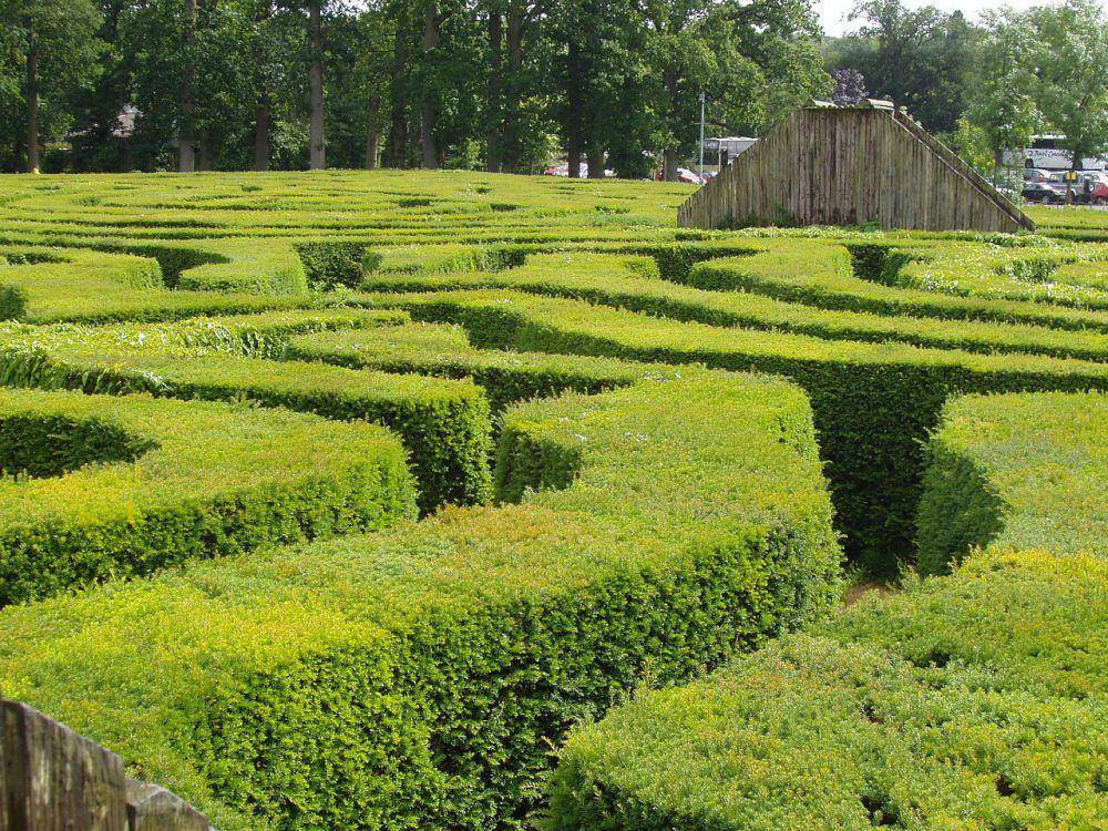Longleat Hedge Maze (commons.wikimedia.org/Daderot)