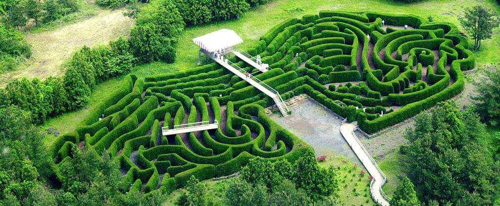 Gimnyeong Maze (thisiskoreatours.com)