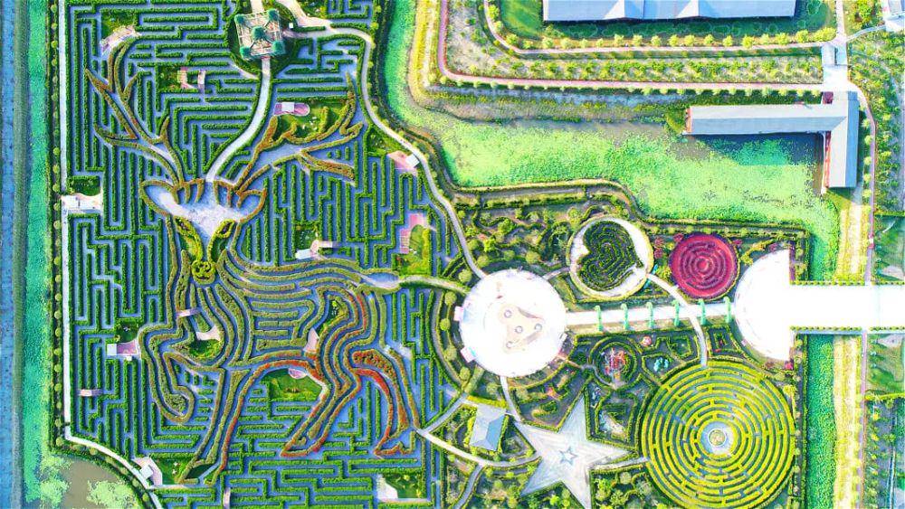 Yancheng Dafeng Dream Maze (guinnessworldrecords.com)