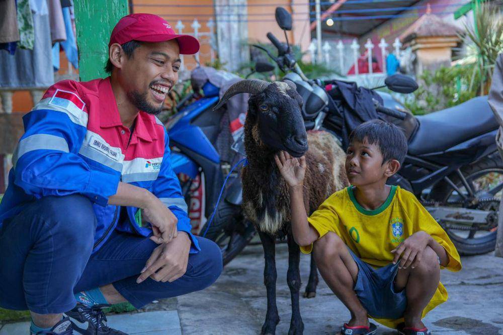 Merayakan Iduladha 1445 H, Pertamina Grup berbagi kebahagiaan dengan menyalurkan sekitar 4.493 hewan kurban di seluruh Indonesia. Rinciannya, sebanyak 2.027 sapi, 2.465 ekor kambing/domba dan 1 kerbau. (Dok. Pertamina)