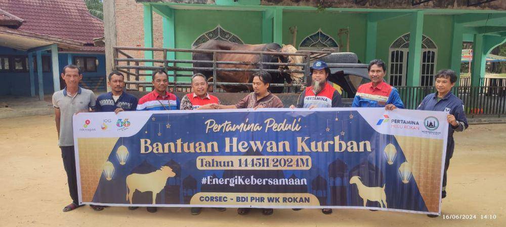 Merayakan Iduladha 1445 H, Pertamina Grup berbagi kebahagiaan dengan menyalurkan sekitar 4.493 hewan kurban di seluruh Indonesia. Rinciannya, sebanyak 2.027 sapi, 2.465 ekor kambing/domba dan 1 kerbau. (Dok. Pertamina)