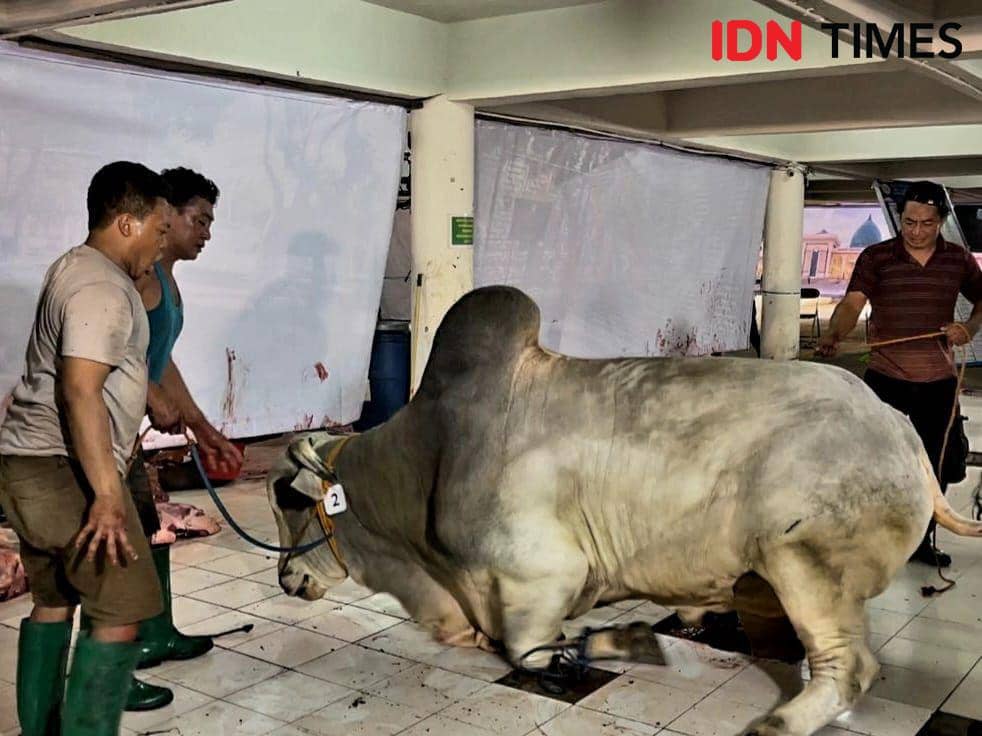 70 Hewan Kurban Disembelih di Masjid Al Akbar