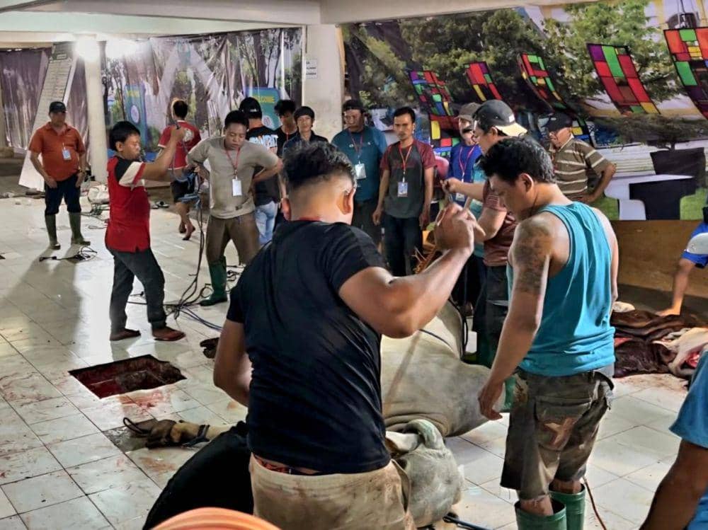 Penyembelihan hewan kurban di Masjid Al Akbar Surabaya, Selasa (18/5/2024). (IDN Times/Ardiansyah Fajar)
