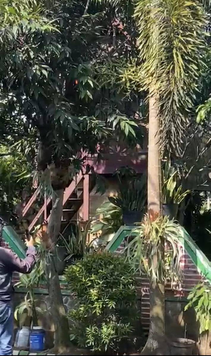 Lokasi penemuan kucing dipaku di Malang. (IDN Times/istimewa)