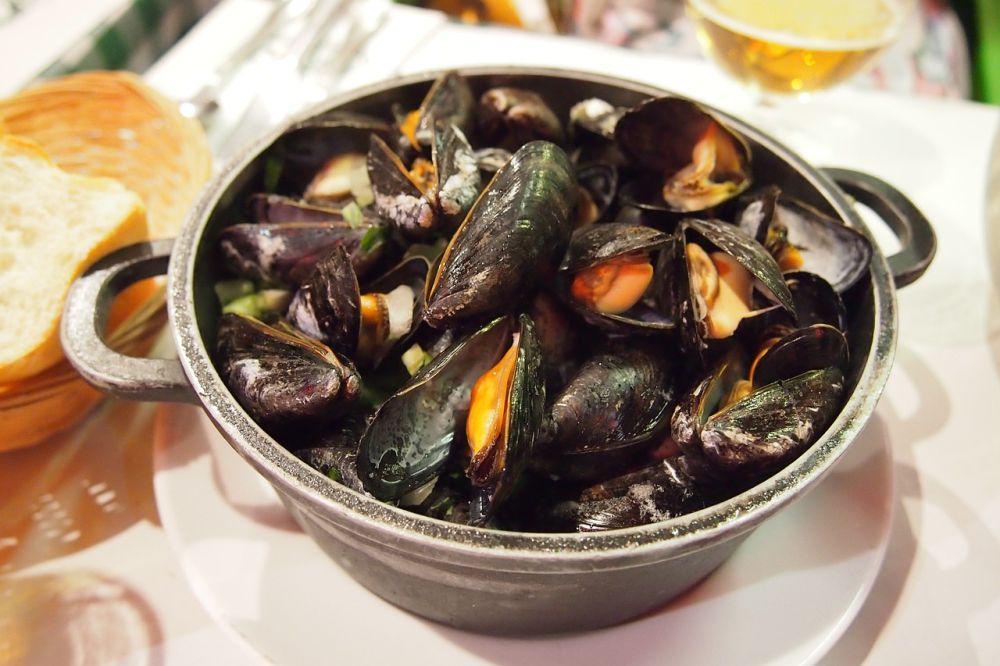 5 Fakta Mengenai Kerang Hijau, Berperan Penting untuk Ekosistem!