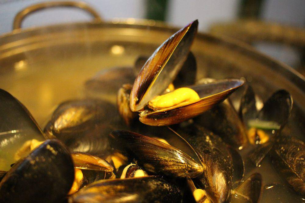 ilustrasi kerang hijau (pixabay.com/enow)