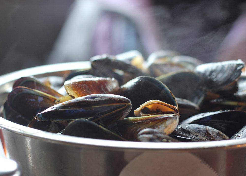ilustrasi kerang hijau (pixabay.com/juliwatson)