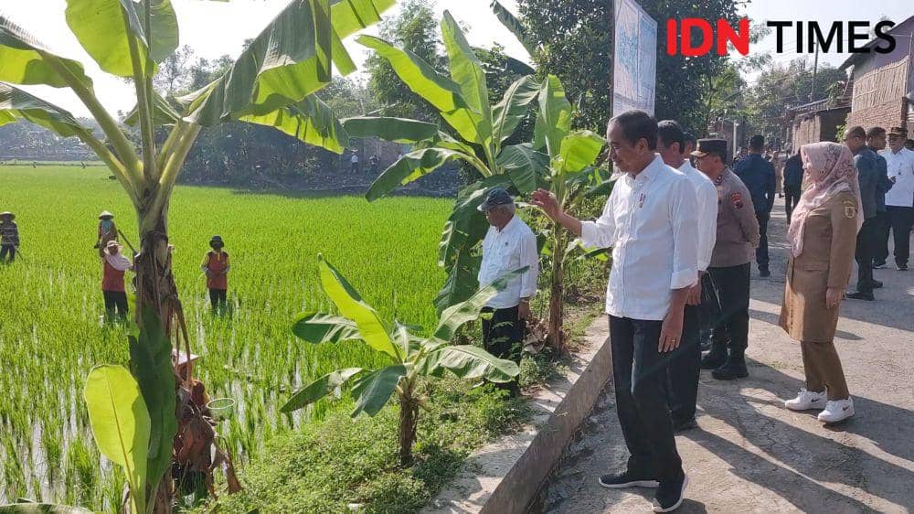 Presiden Jokowi meninjau sistem pompanisasi pertanian di Klaten, Jawa Tengah. (IDN Times/Larasati Rey)