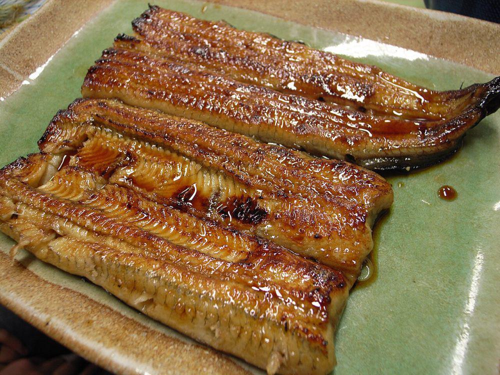 5 Perbedaan Unagi dan Anago, Ikan Khas Jepang yang Mirip Belut