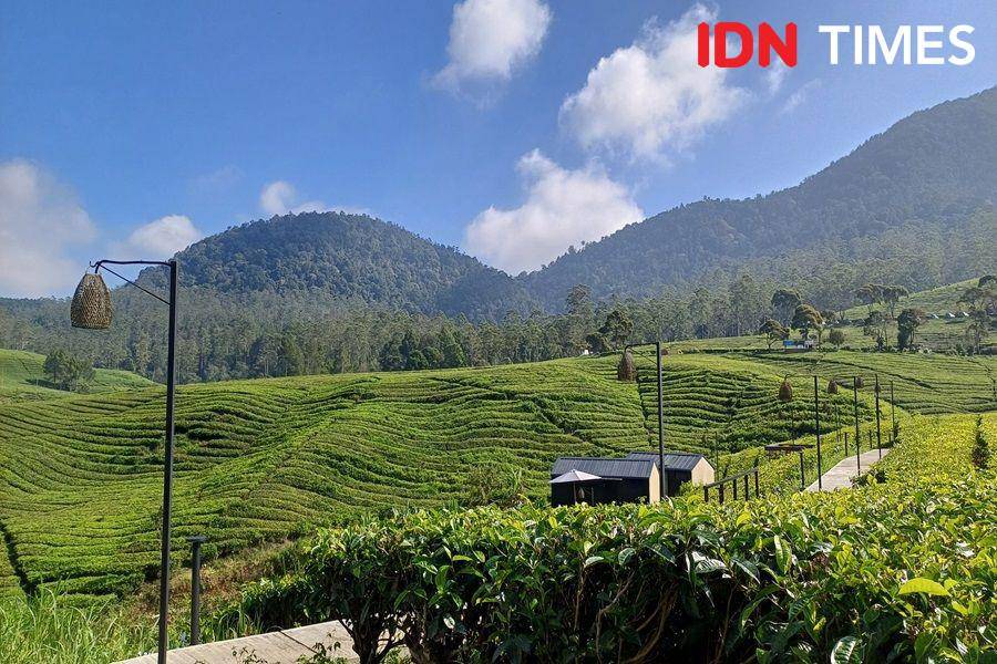 Ilustrasi akomodasi di Pangalengan, Bandung (IDN Times/Dhiya Awlia Azzahra)