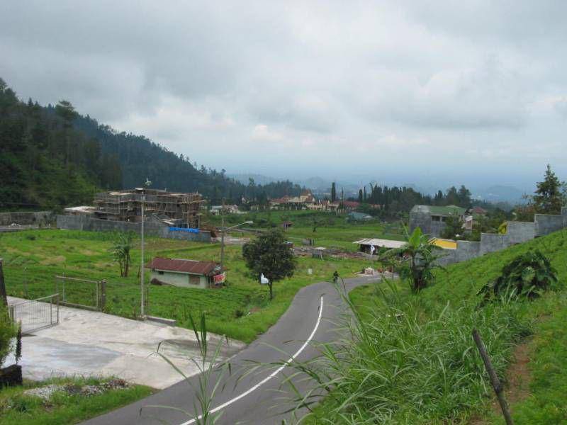 jalan di Tawangmangu (commons.wikimedia.org/Bennylin)
