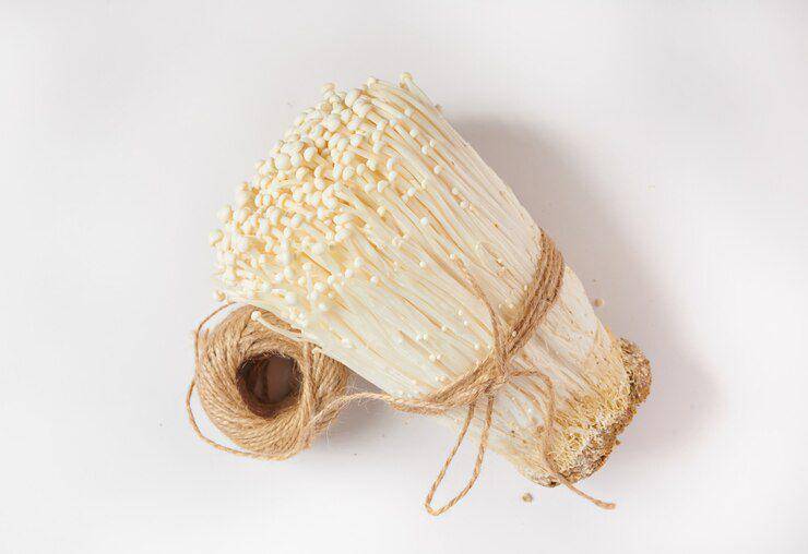 ilustrasi jamur enoki (freepik.com/jcomp)