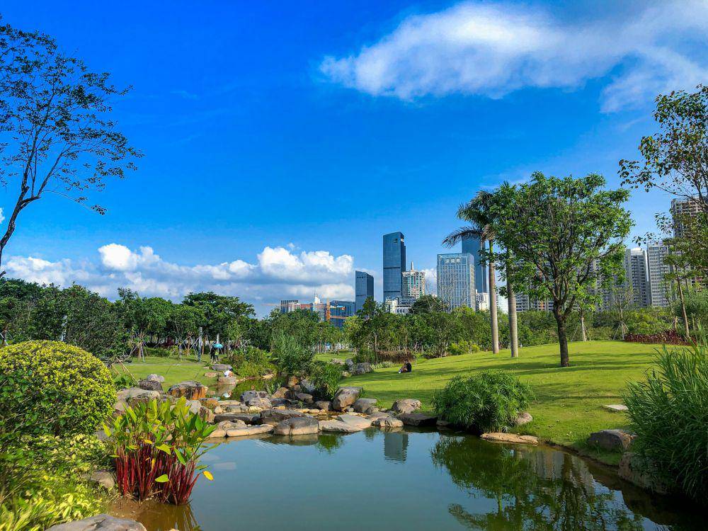 Potret kota Shenzhen (unsplash.com/Zean Wu)