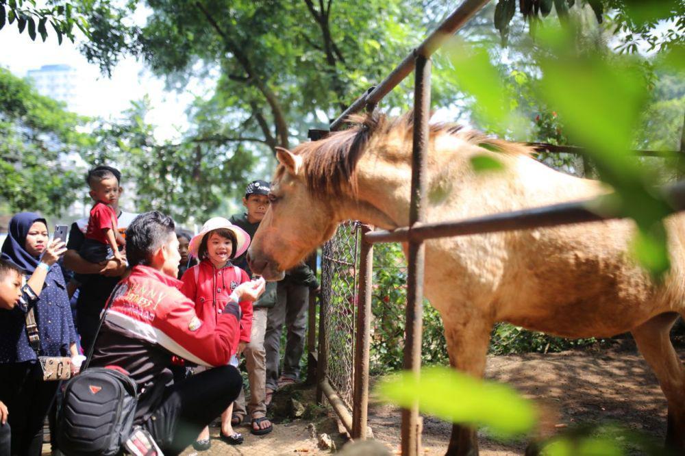 Libur Maulid Nabi, 4.500 Wisatawan Kunjungi Bandung Zoo