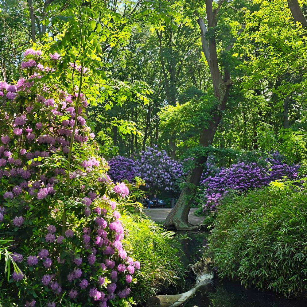 Tiergarten, Berlin-Jerman (instagram.com/the_berlin_explorer)