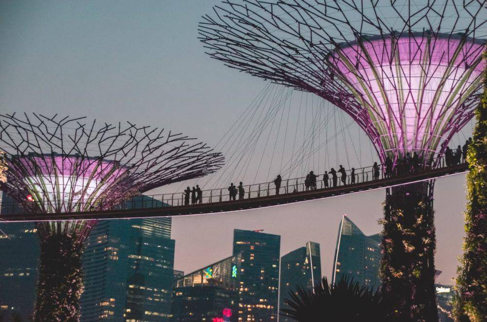 Gardens by the Bay (unsplash.com/thevernon)