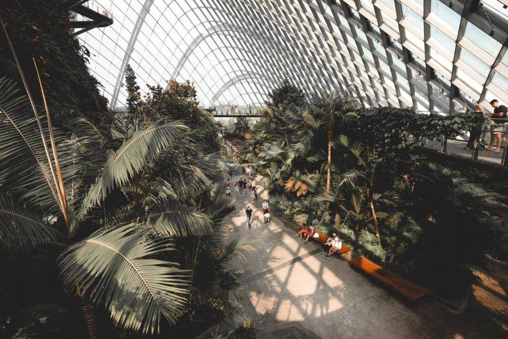 Gardens by the Bay (unsplash.com/willtuettner)