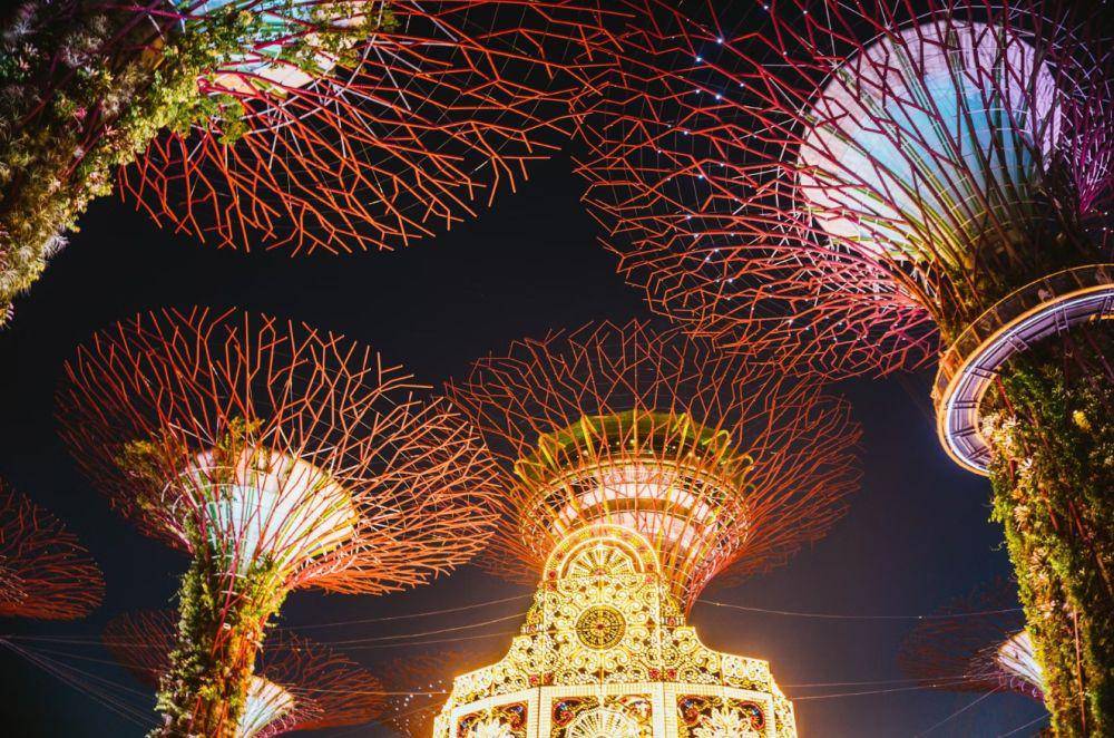 Gardens by the Bay (unsplash.com/yokeboy)