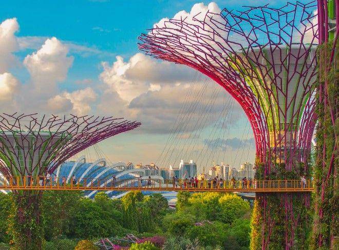 Gardens by the Bay (unsplash.com/coleenr)