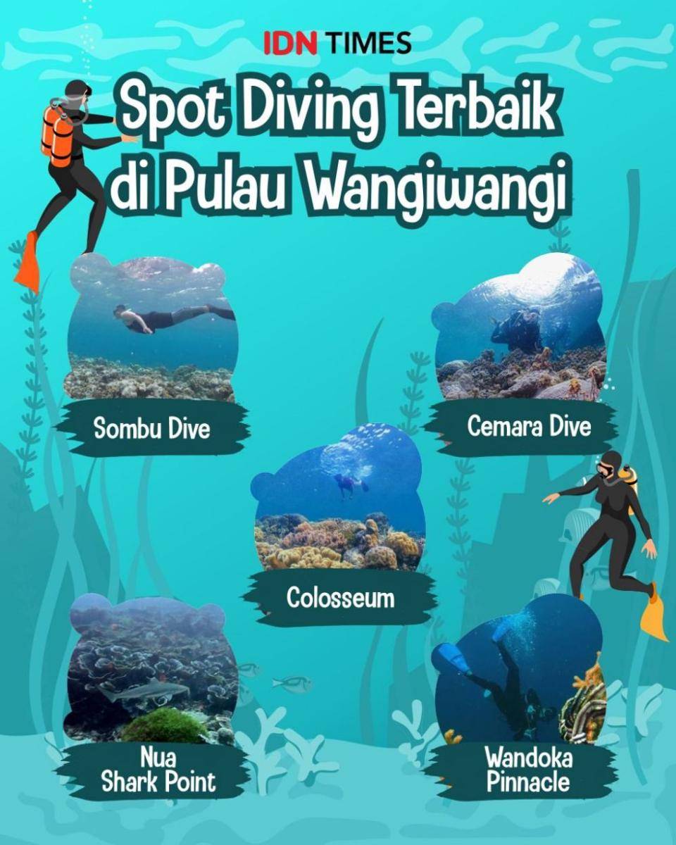 Infografis spot diving di Pulau Wangiwangi Wakatobi (IDN Times/Sukma Mardya Shakti)