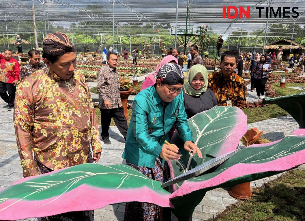 Aglaonema Park Pertama di Dunia Diresmikan di Sleman