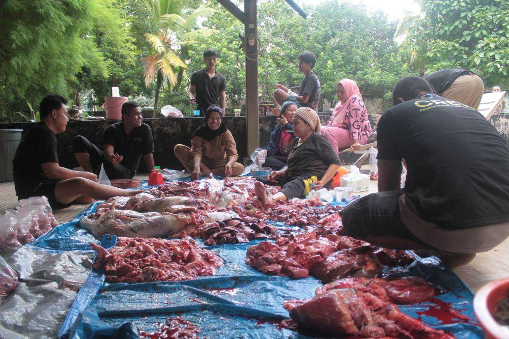 Kurban yang dilaksanakan pekerja Lonsum saat Idul Adha (dok.Lonsum)