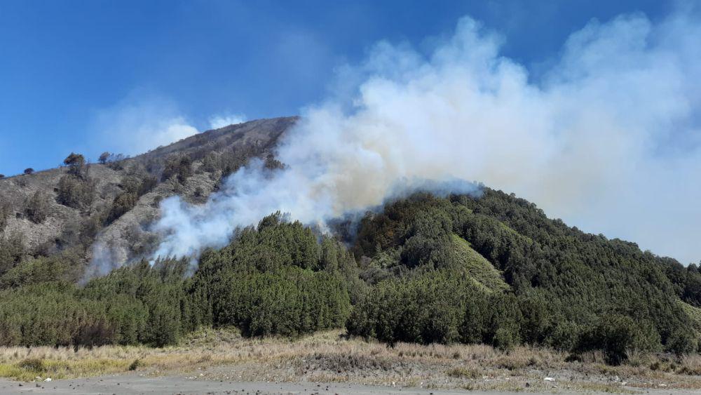 Kebakaran Gunung Bathok di Kawasan Bromo Dipadamkan