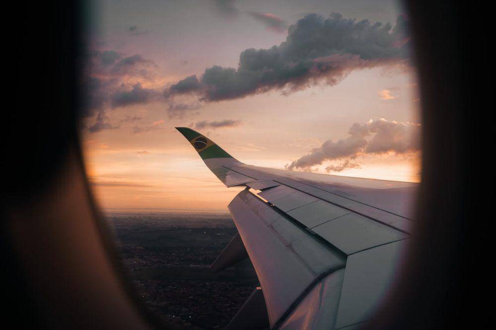 ilustrasi morning flight (pexels.com/Cao Vi Ton)