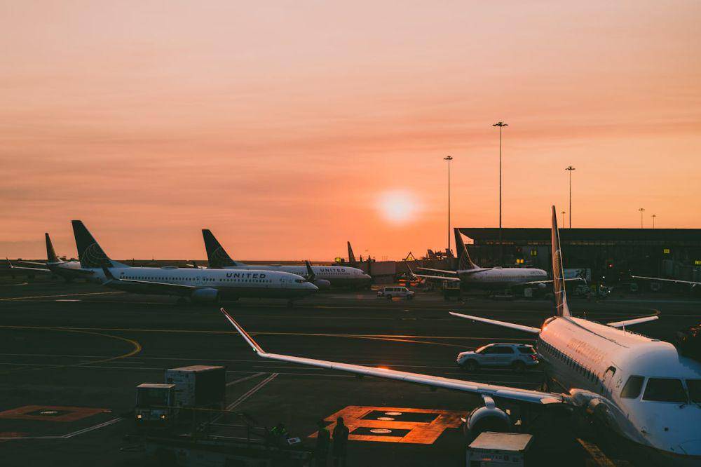 ilustrasi morning flight (pexels.com/Brett sayles)