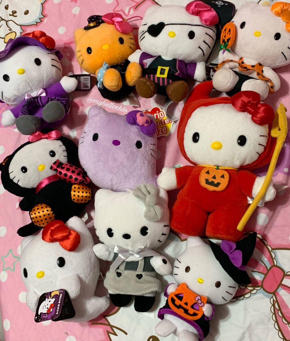 potret koleksi boneka Sanrio (reddit.com/user/mskitty_42)