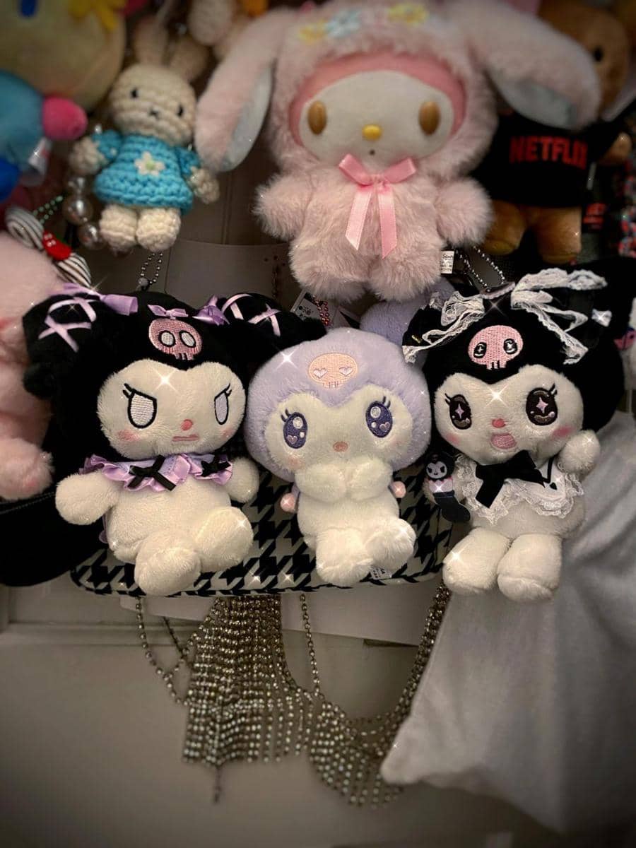 potret koleksi boneka Sanrio (reddit.com/user/Zorobunbun)