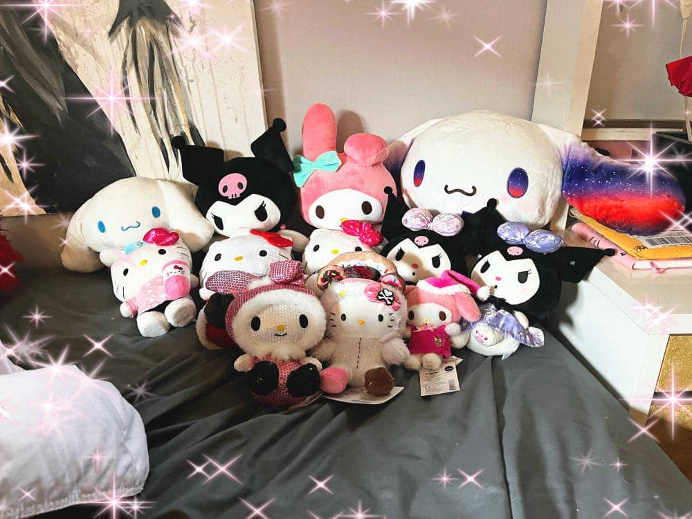 potret koleksi boneka Sanrio (reddit.com/user/BattyBoi12345678)