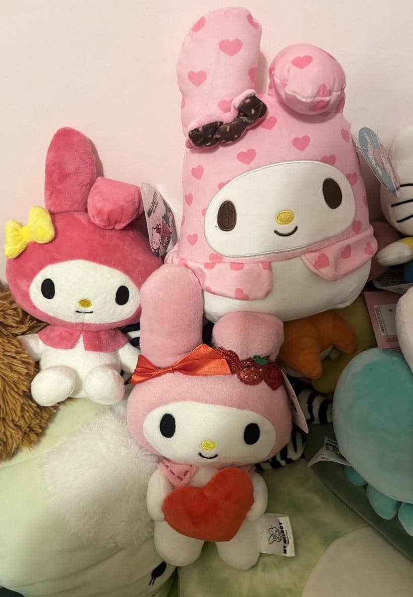 potret koleksi boneka Sanrio (reddit.com/user/holyone444)