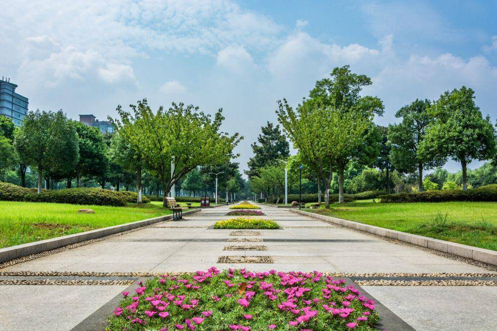 Gambar taman bunga