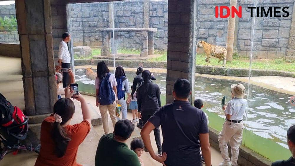 Akhir Pekan, Jokowi Ajak Cucu Wisata ke Solo Safari