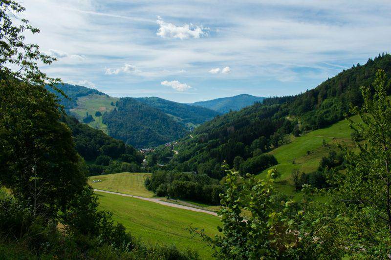 gambar Black Forest National Park (unsplash.com/Rach Sam)
