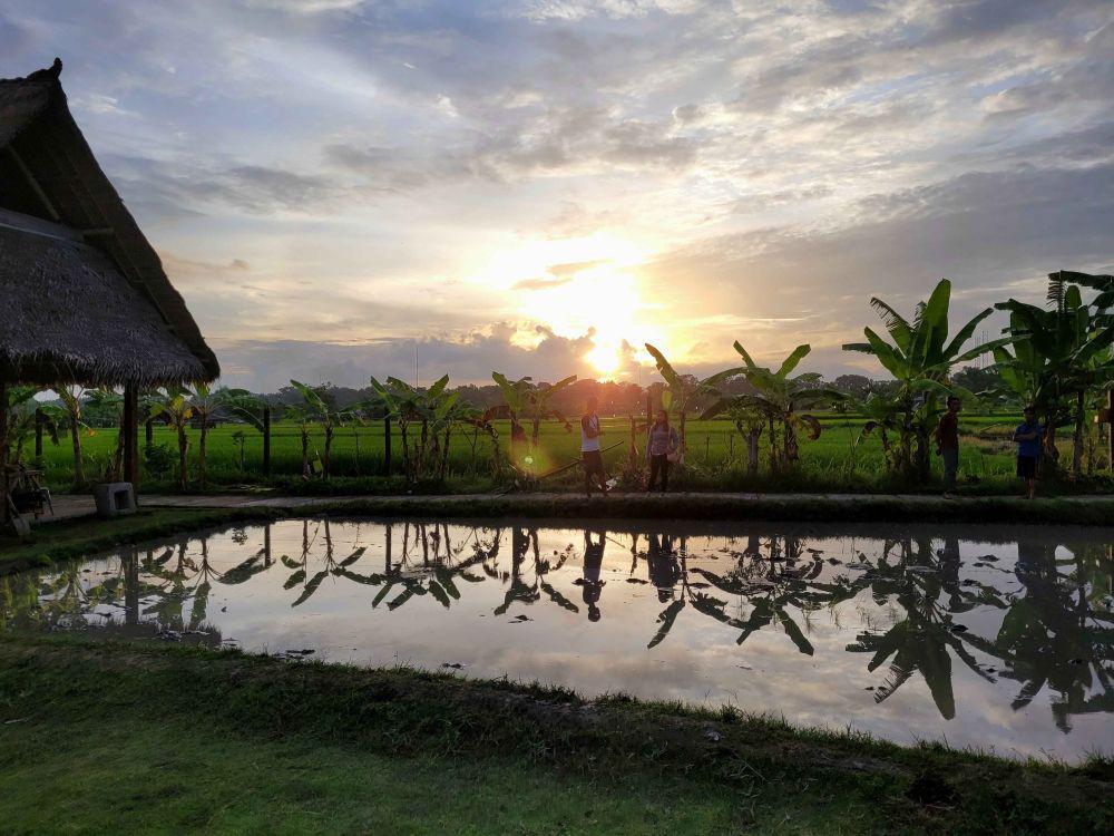 Desa Wisata Kesiman Bali: Lokasi, Harga Tiket, dan Aktivitas Seru