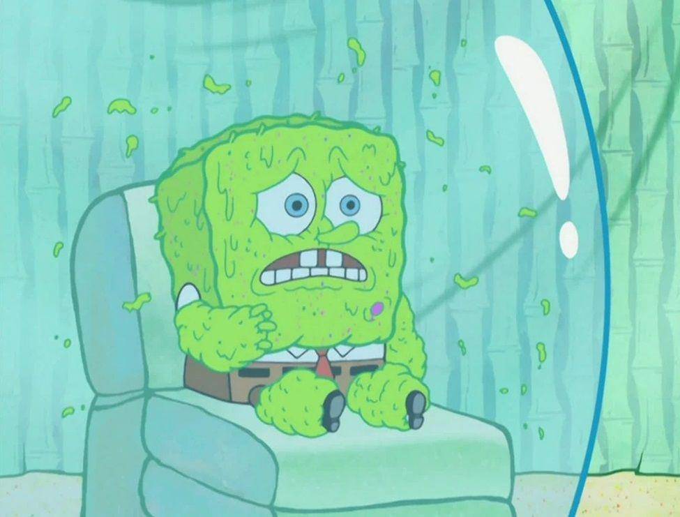 dok. Nickelodeon/ SpongeBob SquarePants