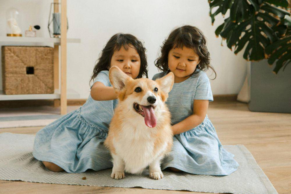 Ilustrasi anak kembar (pexels.com/KATRIN BOLOVTSOVA)