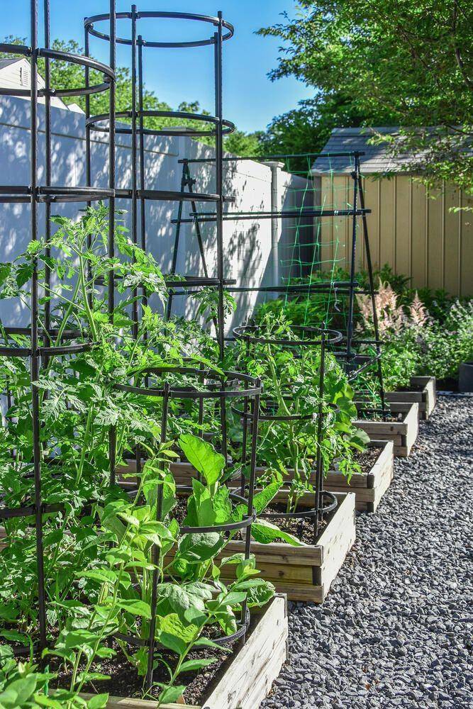 Ide kebun sayur. (goodhousekeeping.com)