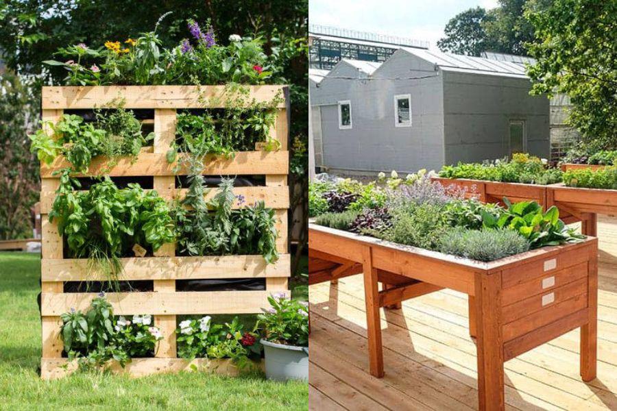 14 Ide Kreatif Membuat Kebun Sayur di Pekarangan Rumah Sempit