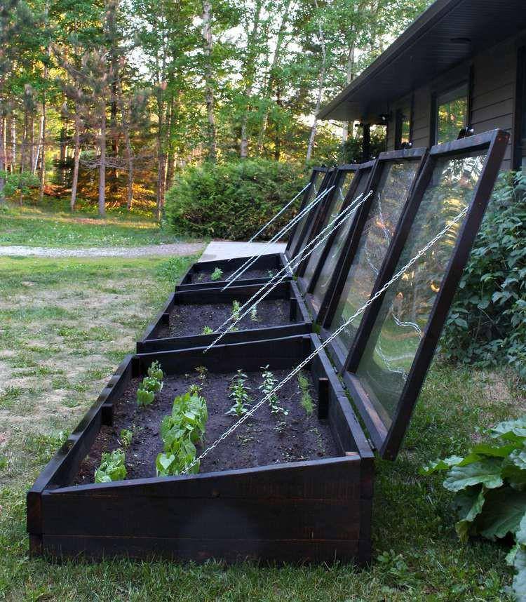 Kebun di belakang rumah. (thespruce.com)