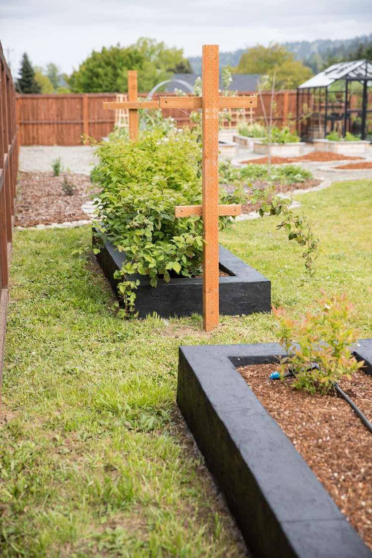 Kebun di belakang rumah. (thespruce.com)